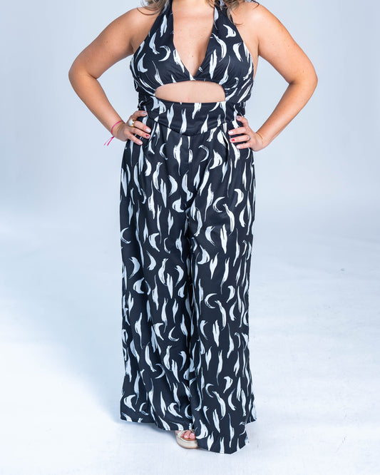 Enterito Paloma Negro